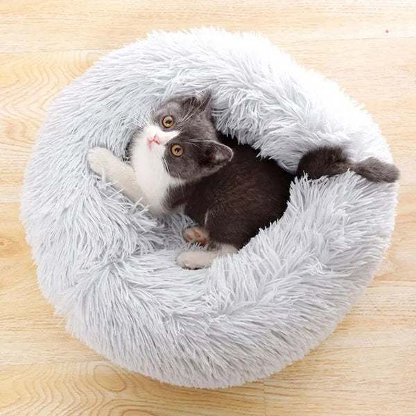 Coussin Douillet pour Chat - Felinspa™