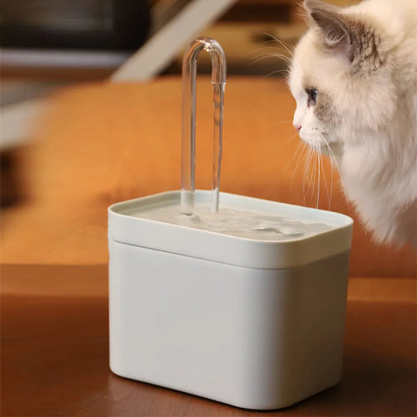 Distributeur Eau Chat Style Fontaine avec Filtre  - FELINSPA™