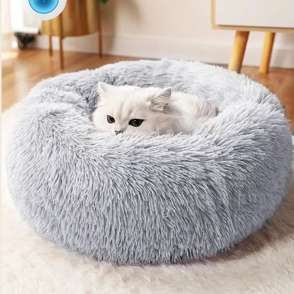 Coussin Douillet pour Chat - Felinspa™