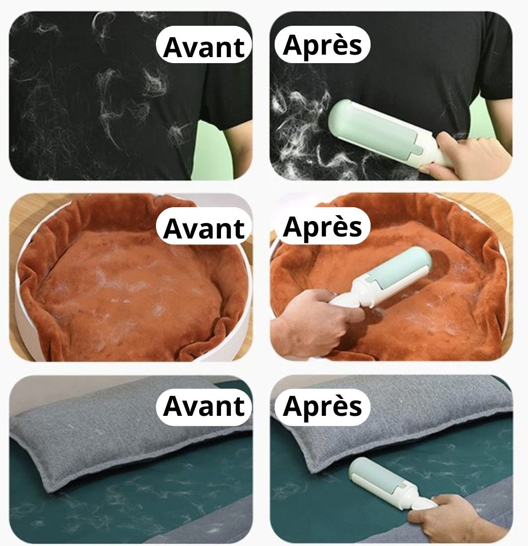 Brosse Anti-Poil Éco-Responsable