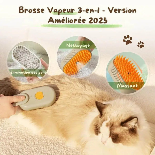 Brosse de Massage vapeur 3 en 1 - Felinspa™
